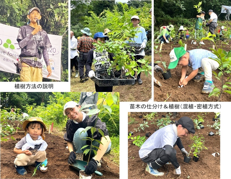 高野さんhp1721034017149 (002).jpg