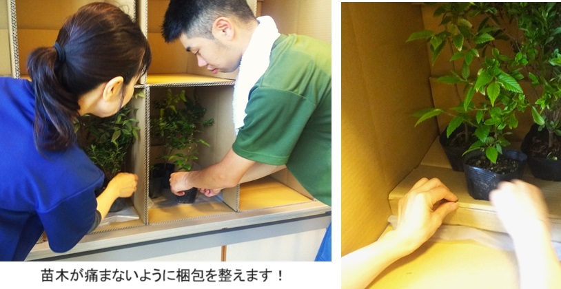 ﾔﾝｾﾝﾌｧｰﾏｈｐDSC_2657.jpg