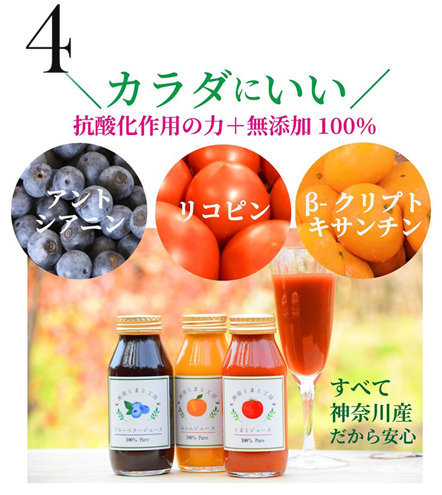 湘南とまと工房